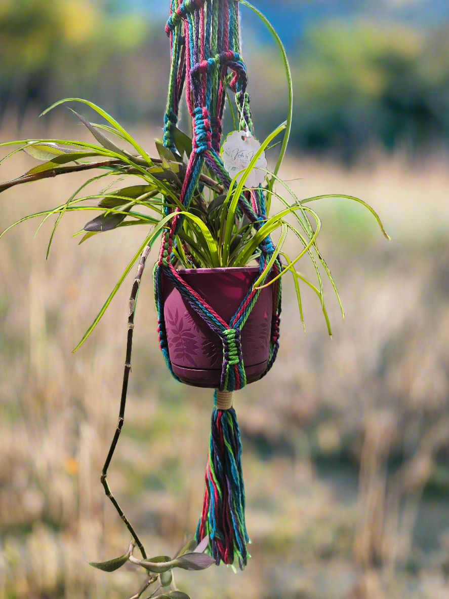 Plant hanger