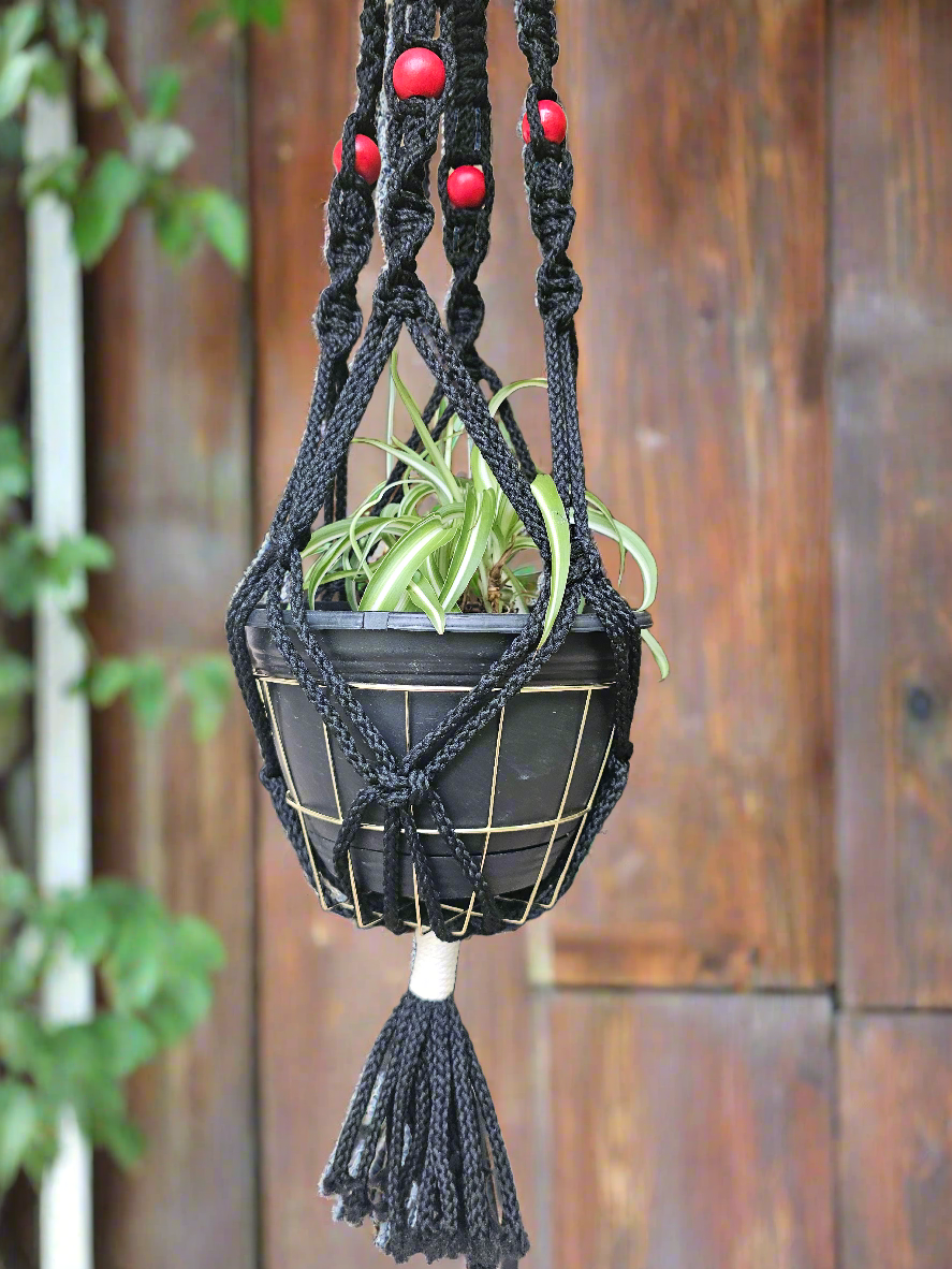 Macrame plant hanger