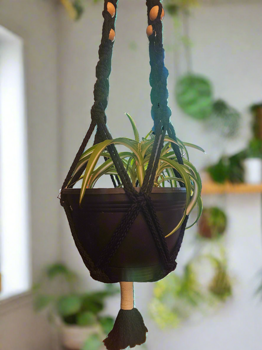 Macrame plant hanger