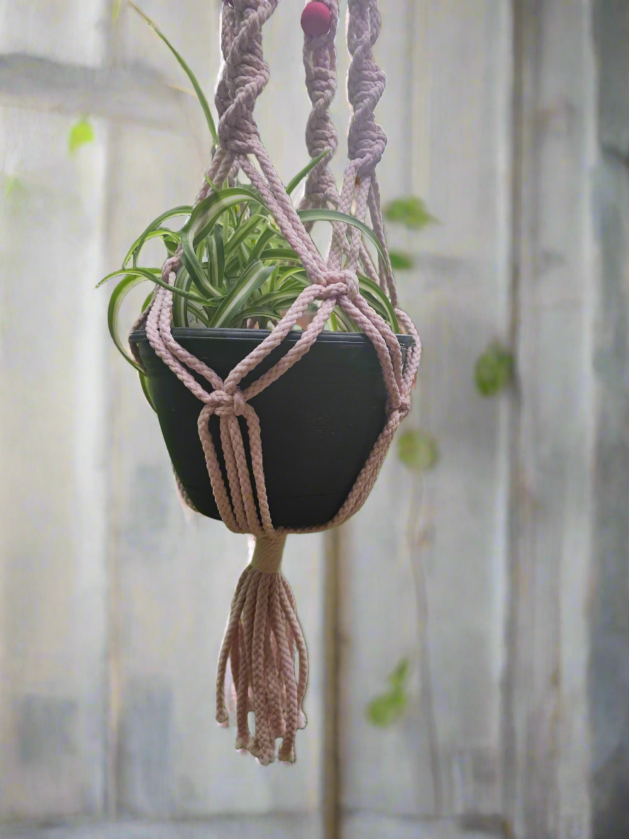 Macrame plant hanger