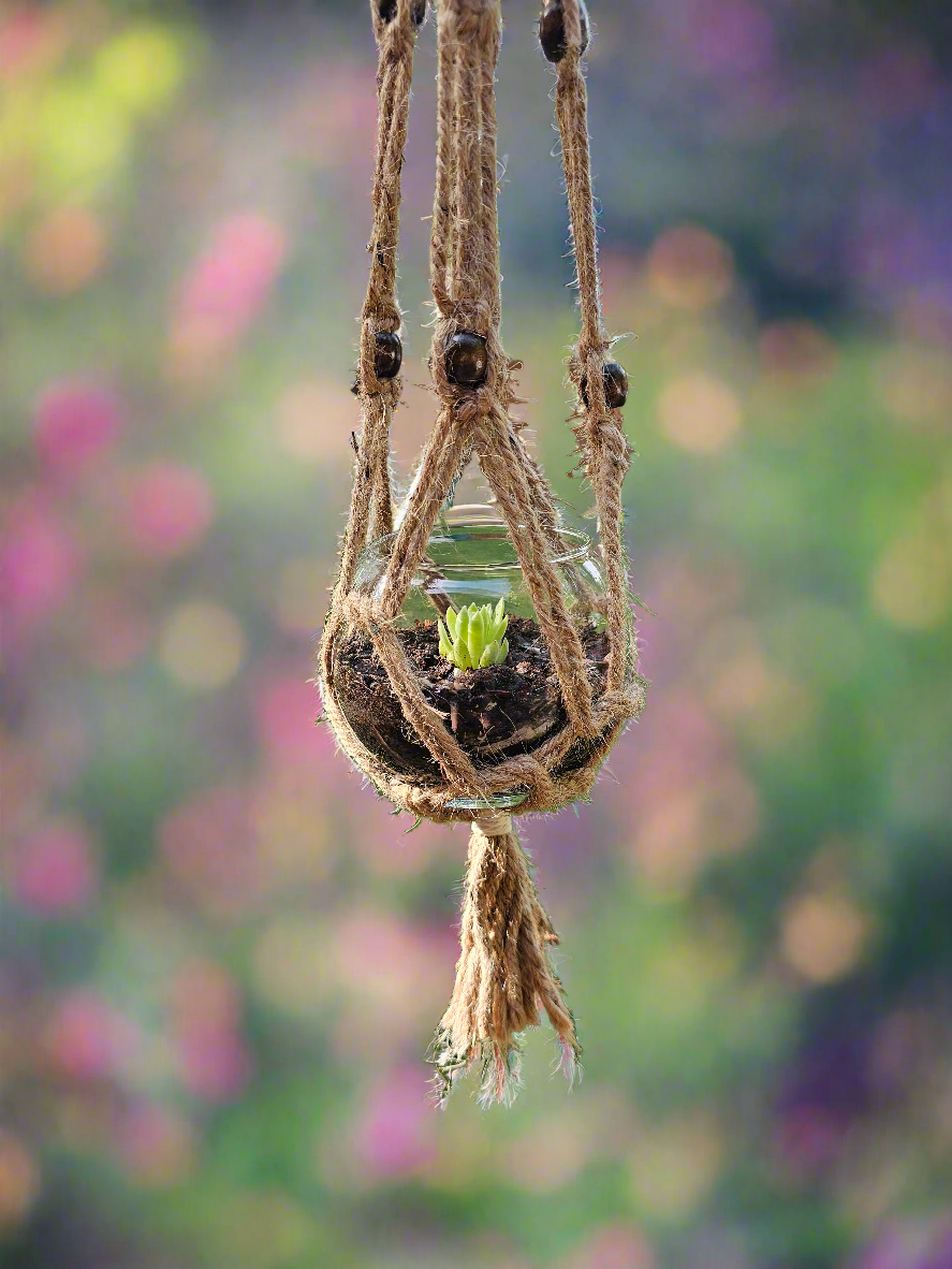 Plant hanger