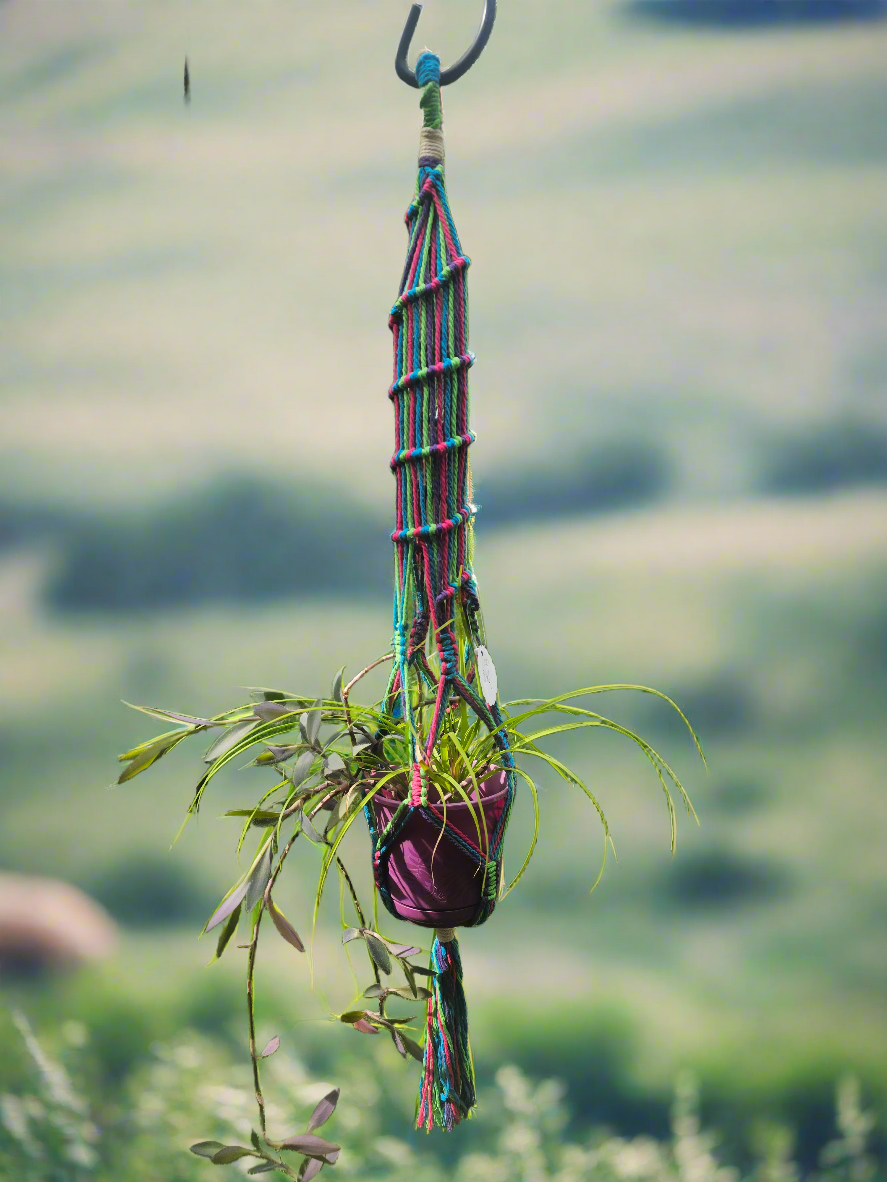 Plant hanger