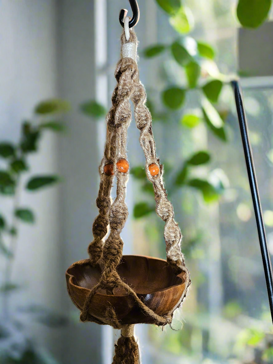 Plant hanger